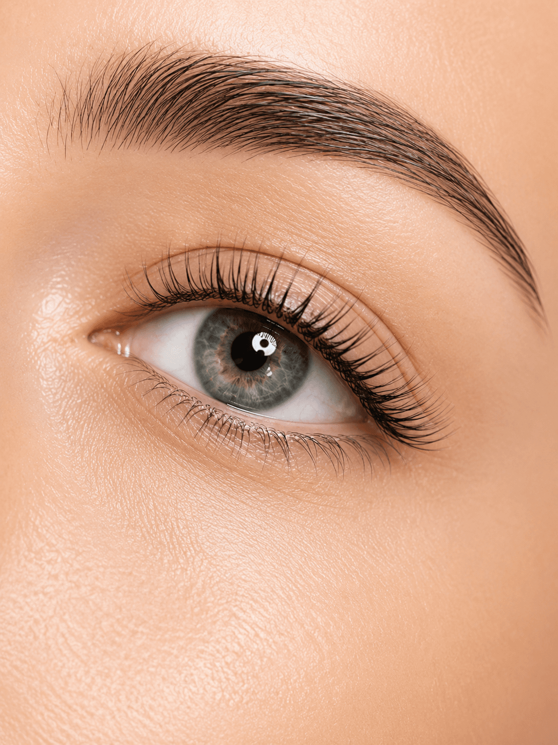 Close-up of a green eye with long black eyelashes and a perfectly shaped dark eyebrow.